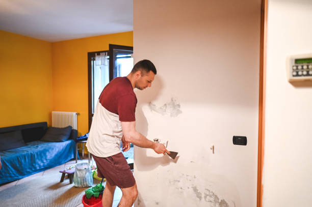 Best Attic Mold Remediation in Williamsburg, OH